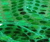 green HIGH QUALITY SEQUINS FABRIC 6mm