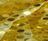 sun yellow HIGH QUALITY SEQUINS FABRIC 6mm