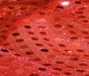Rot Paillenttenstoff kleine Tupfen Pailletten STOFF Meterware