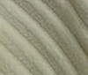 natural colour Luxurious Cotton Corduroy fabric