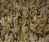 brown ~ dark brown Hairy Fur Imitation Leopard Style 12mm fabric